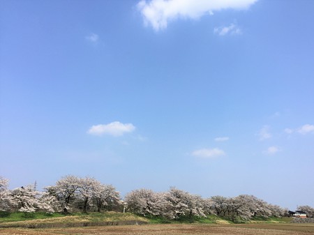 八尾　土地　家　新築　中古リノベーション